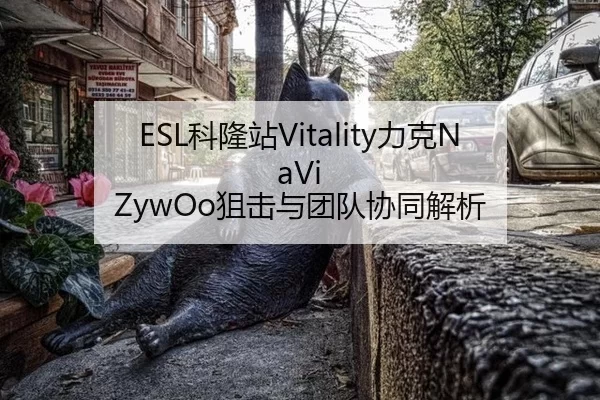 ESL科隆站Vitality力克NaVi ZywOo狙击与团队协同解析