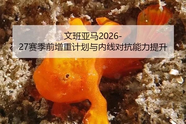 文班亚马2026-27赛季前增重计划与内线对抗能力提升